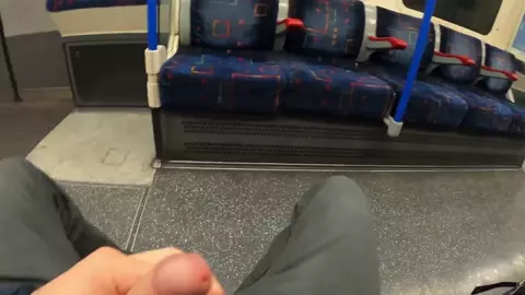 Risky Blowjob In Train. Caught by Stranger Cum on Face
